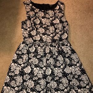 Women’s Dress Size Large
